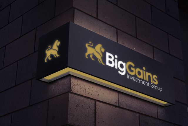 About Big Gains Investment